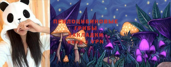 круглые Алзамай