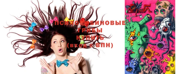 круглые Алзамай