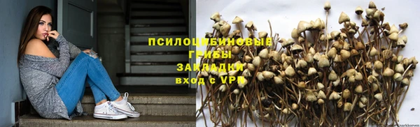 тгк Алексеевка