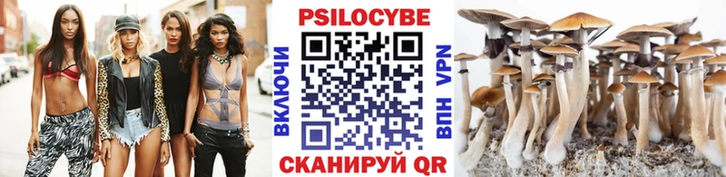 Купить где  Тюкалинск  Псилоцибиновые грибы ЛСД 